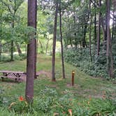 Review photo of Chain O' Lakes State Park Campground by Cynthia K., July 1, 2026