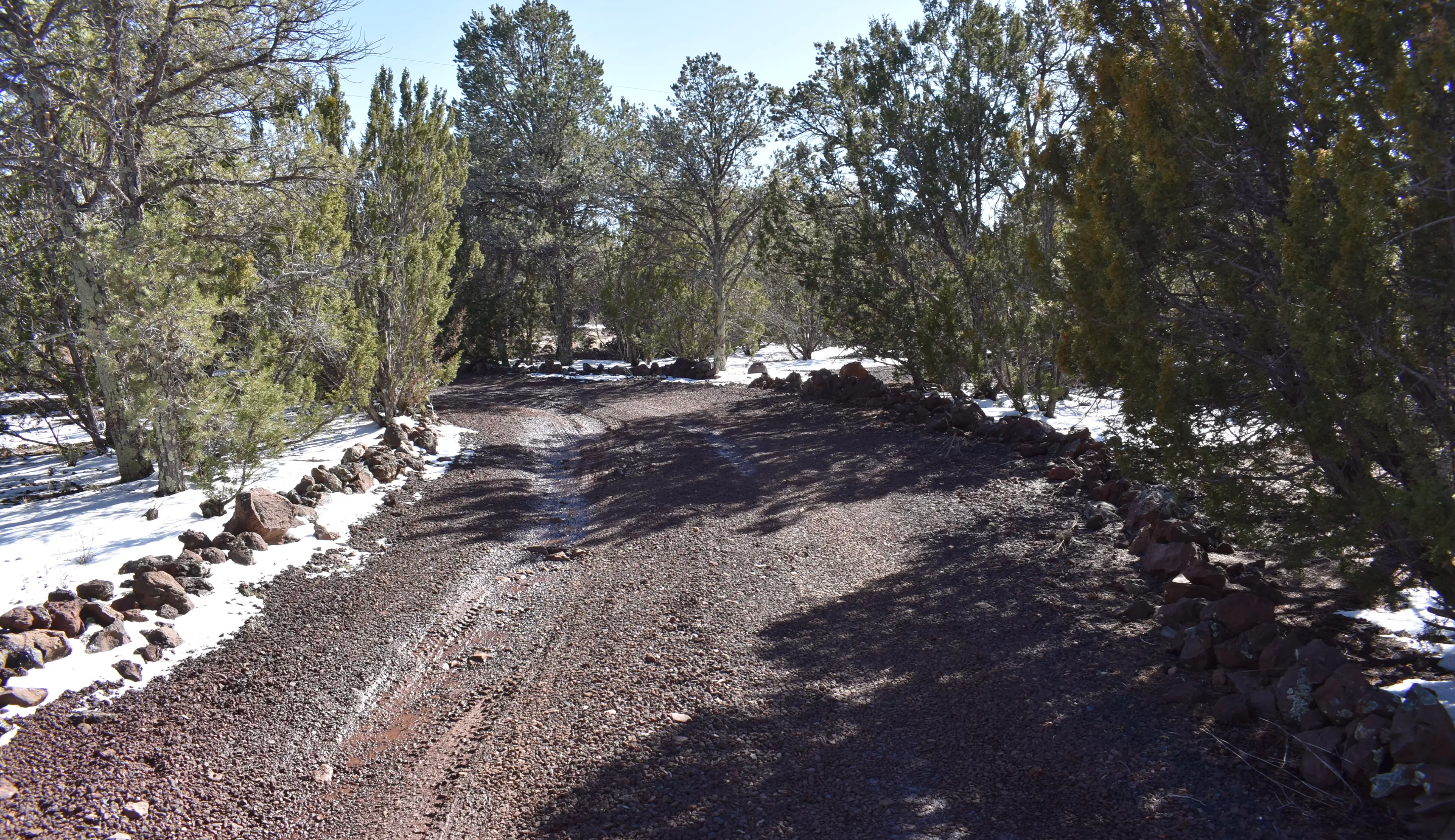 Camper-submitted photo at North Eastern Arizona RV Parking near Apache-Sitgreaves National Forest