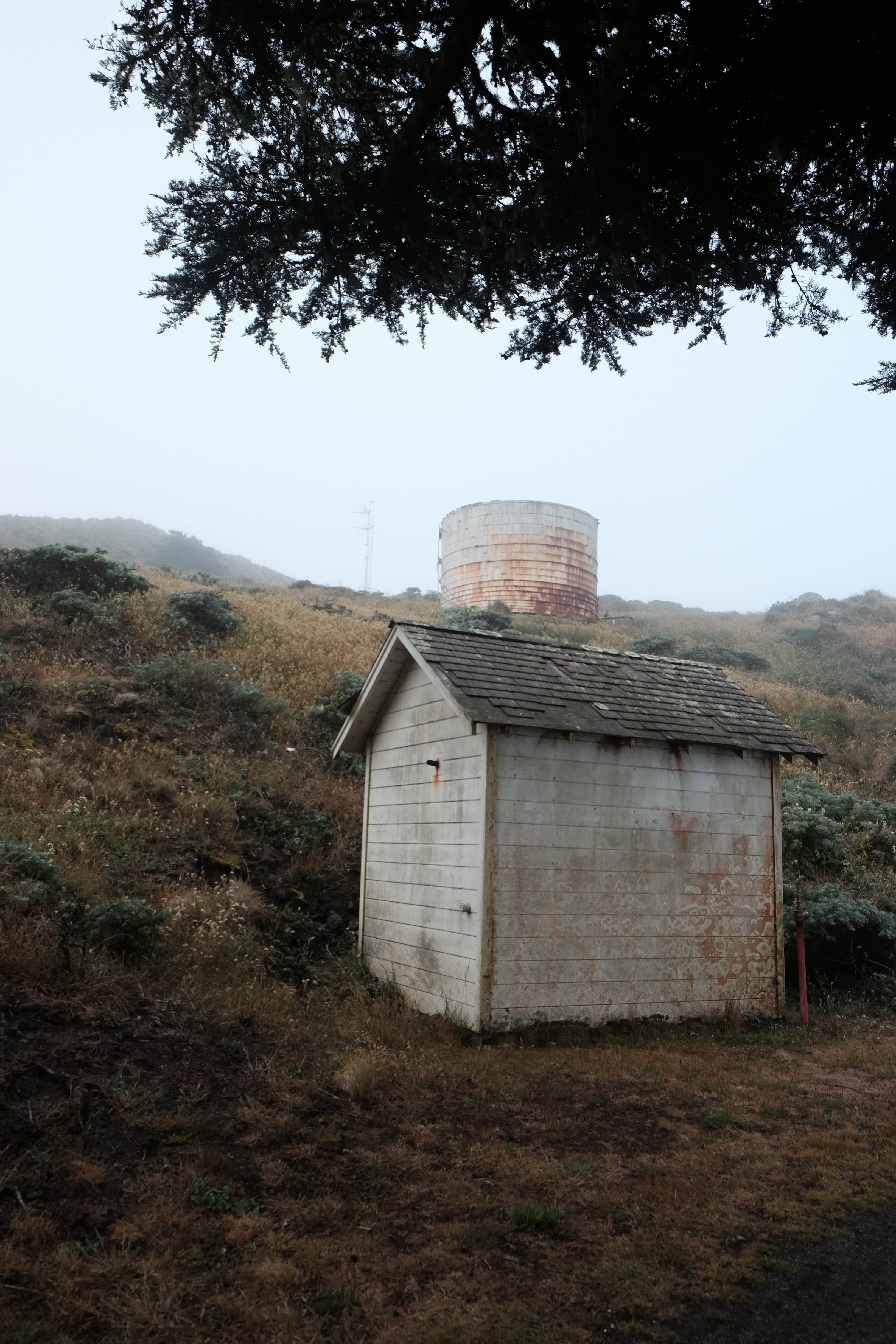 Camper submitted image from Sky Campground — Point Reyes National Seashore - 3