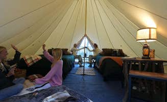 The Dyrt's photo at Brand New! Camp #4 with Bathhouse near Waynesville, NC