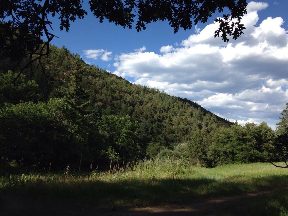 Camper submitted image from Coyote Creek State Park Campground - 3