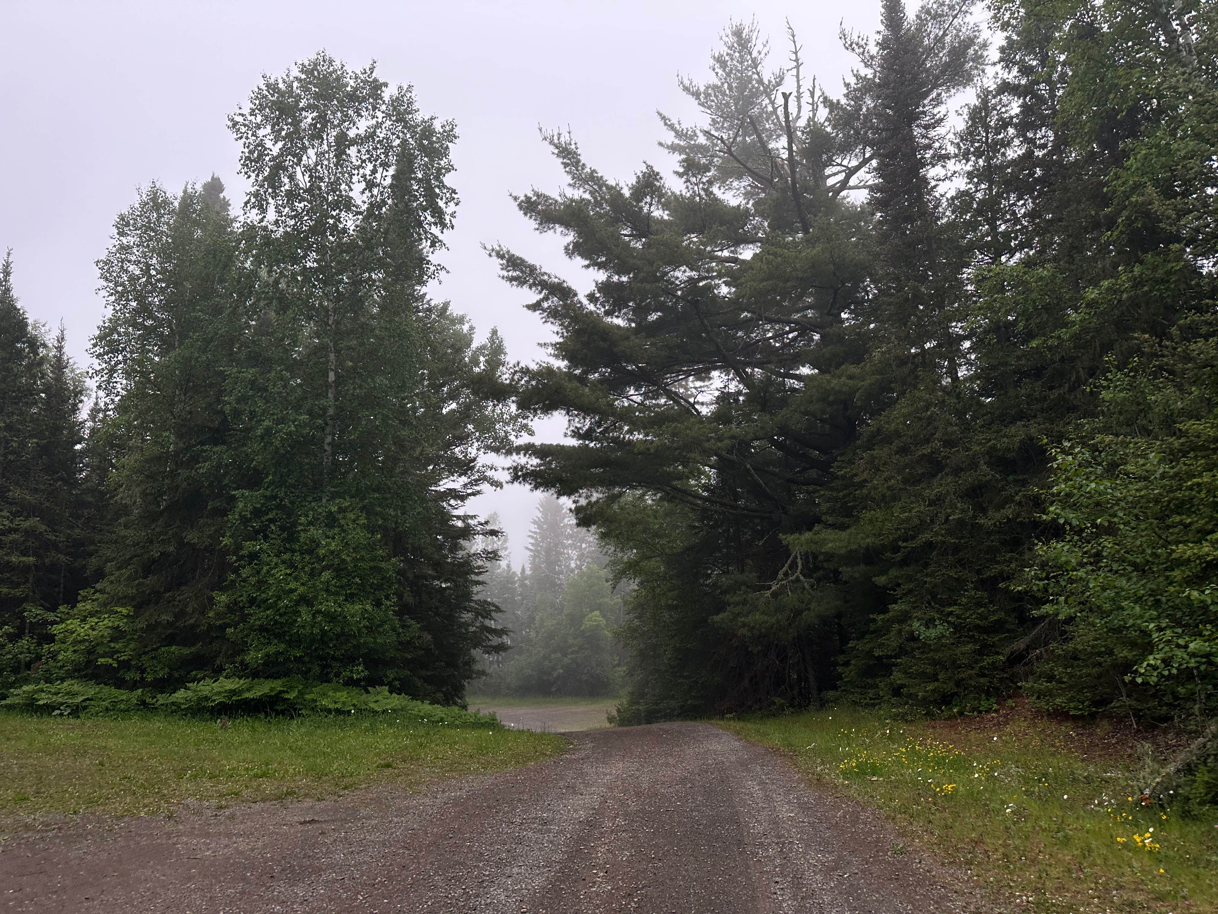 Camper-submitted photo at McFarland Lake Campground near Grand Portage, MN