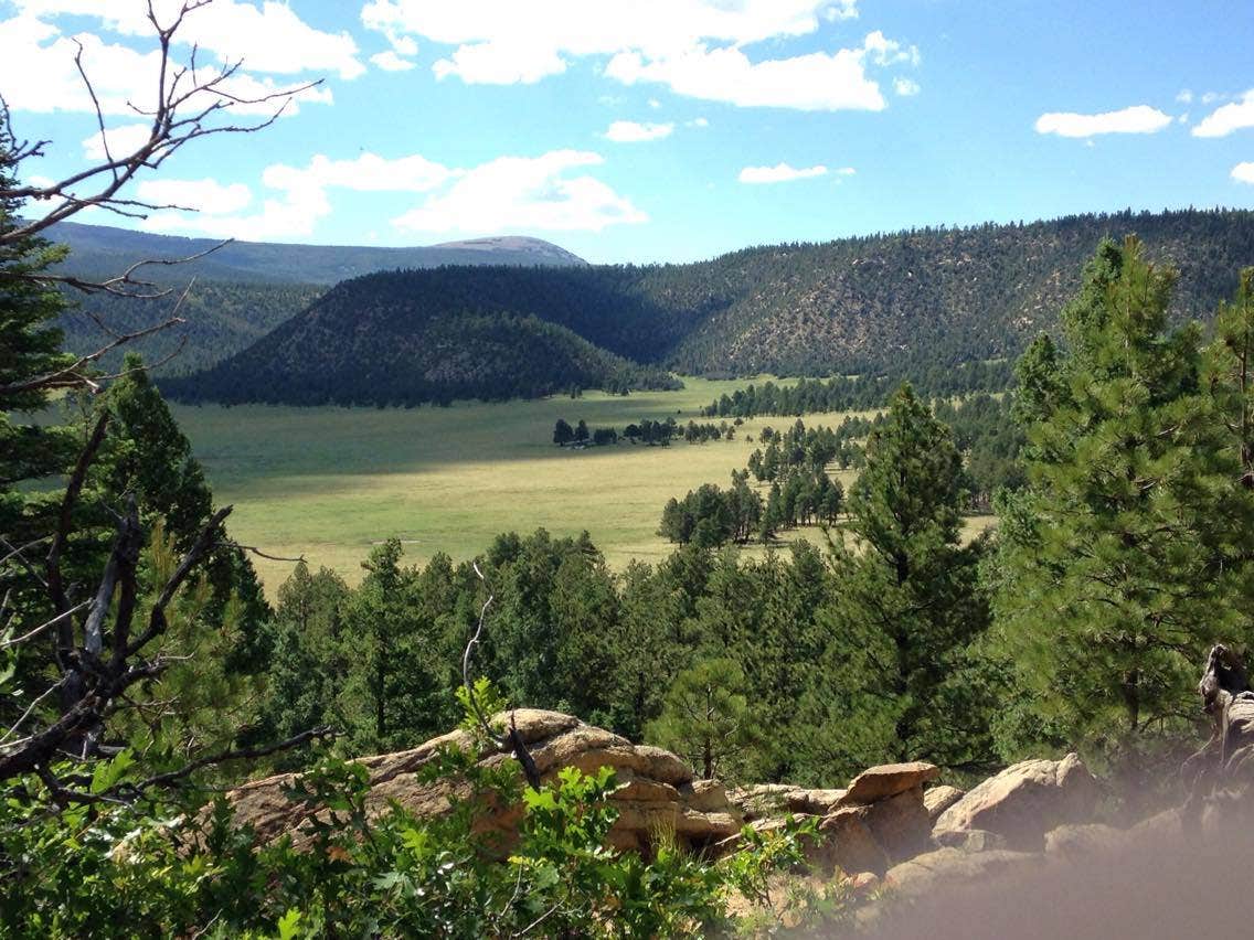 Camper submitted image from Coyote Creek State Park Campground - 2