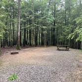 Review photo of Little Beaver State Park Campground by Sydney , July 2, 2026