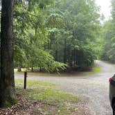 Review photo of Little Beaver State Park Campground by Sydney , July 2, 2026