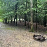 Review photo of Little Beaver State Park Campground by Sydney , July 2, 2026
