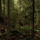 Review photo of Hoh Campground — Olympic National Park by Cierra A., September 30, 2016