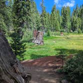 Review photo of Sunset Campground — Kings Canyon National Park by Hope H., July 4, 2026