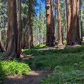 Review photo of Lodgepole Campground — Sequoia National Park by Hope H., July 4, 2026
