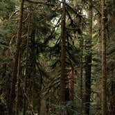 Review photo of Hoh Campground — Olympic National Park by Cierra A., September 30, 2016