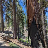 Review photo of Lodgepole Campground — Sequoia National Park by Hope H., July 4, 2026