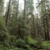 Review photo of Hoh Campground — Olympic National Park by Cierra A., September 30, 2016