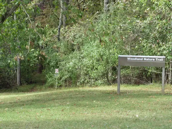 Camper-submitted photo at COE Green River Lake Smith Ridge near Campbellsville, KY