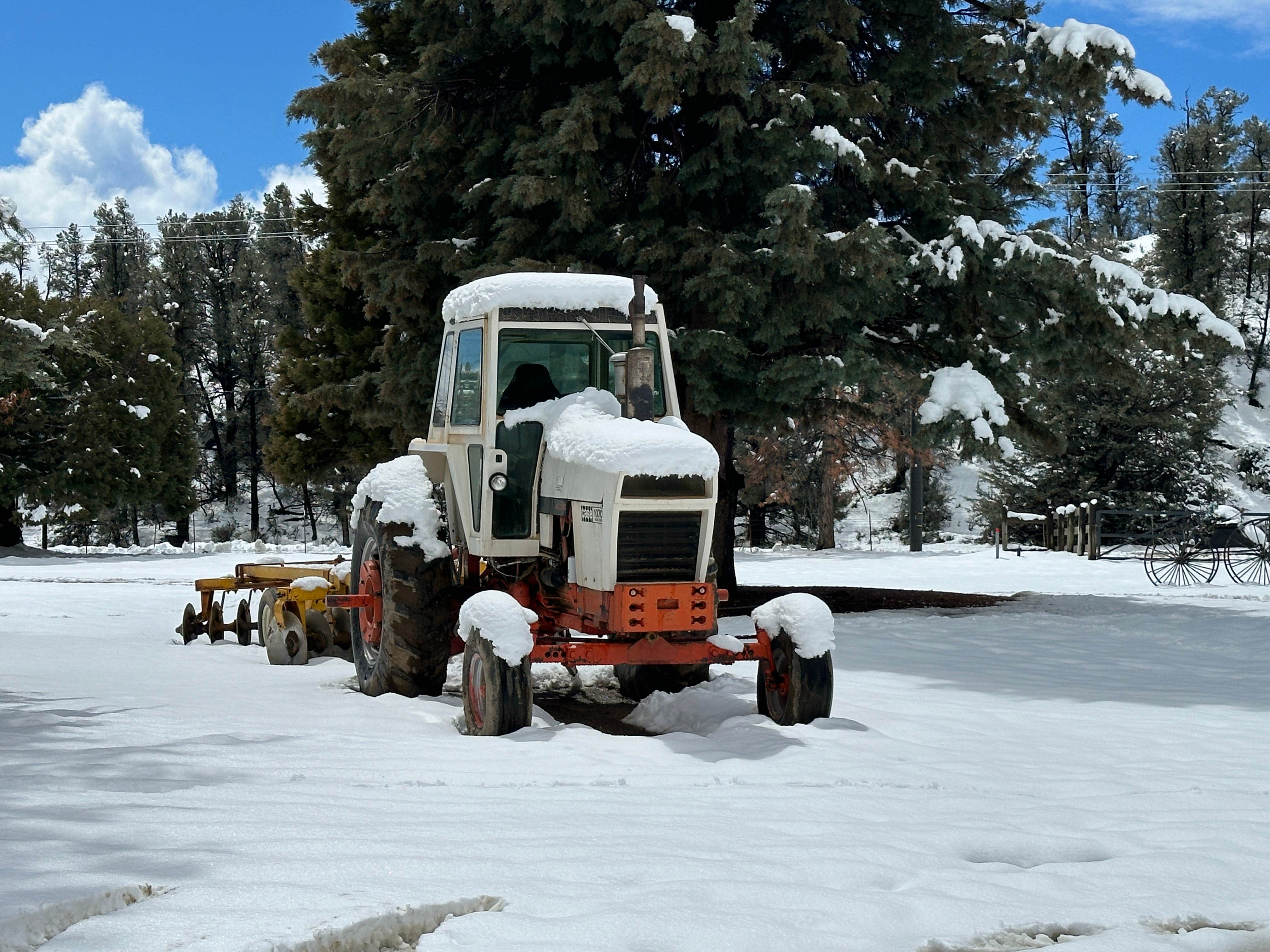 Camping near Campo Alto Group Campground: NORTH FORK RANCH, Pine Mountain Club, California