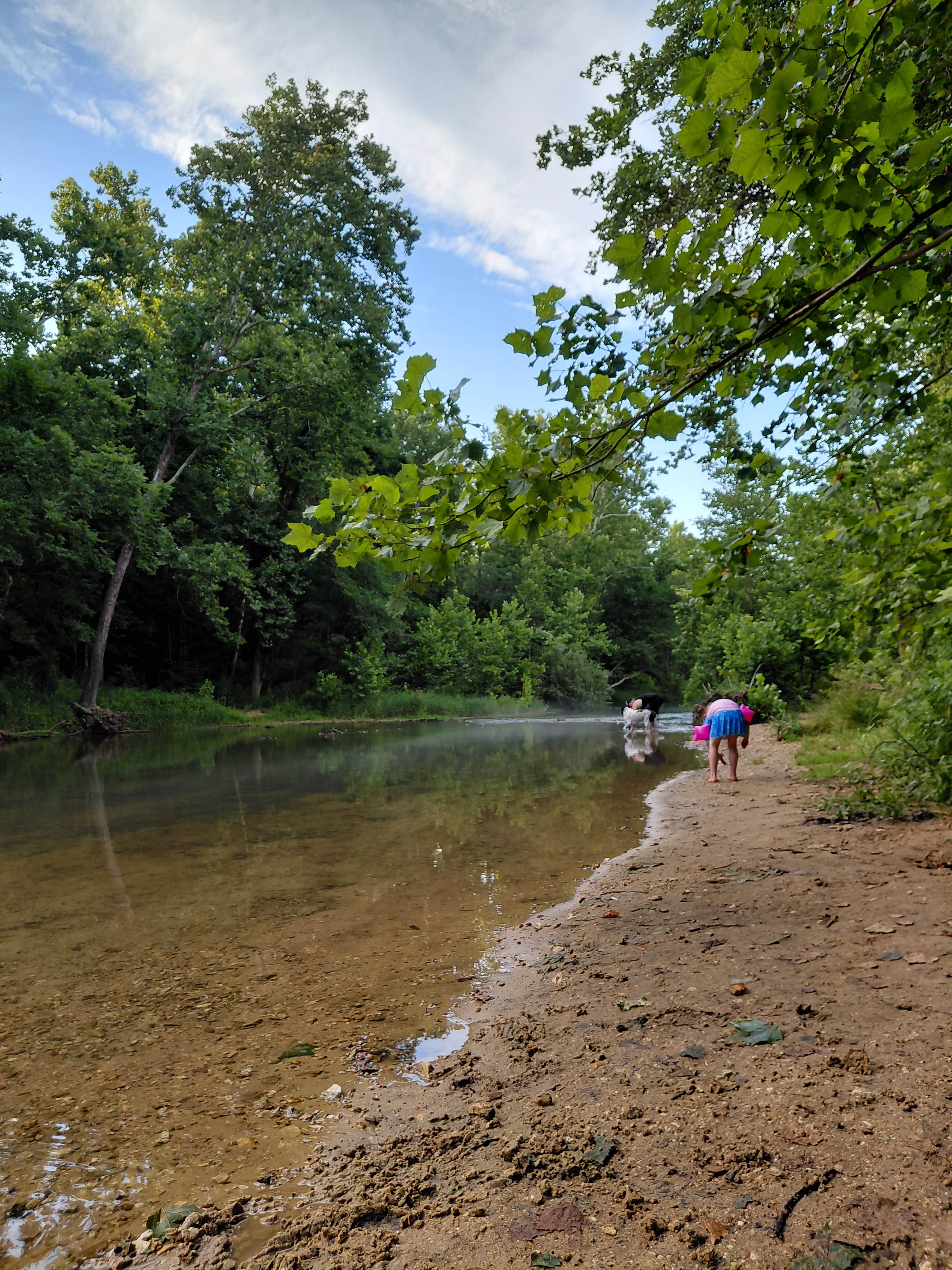 Camper-submitted photo at Lane Spring Recreation Area near Newburg, MO