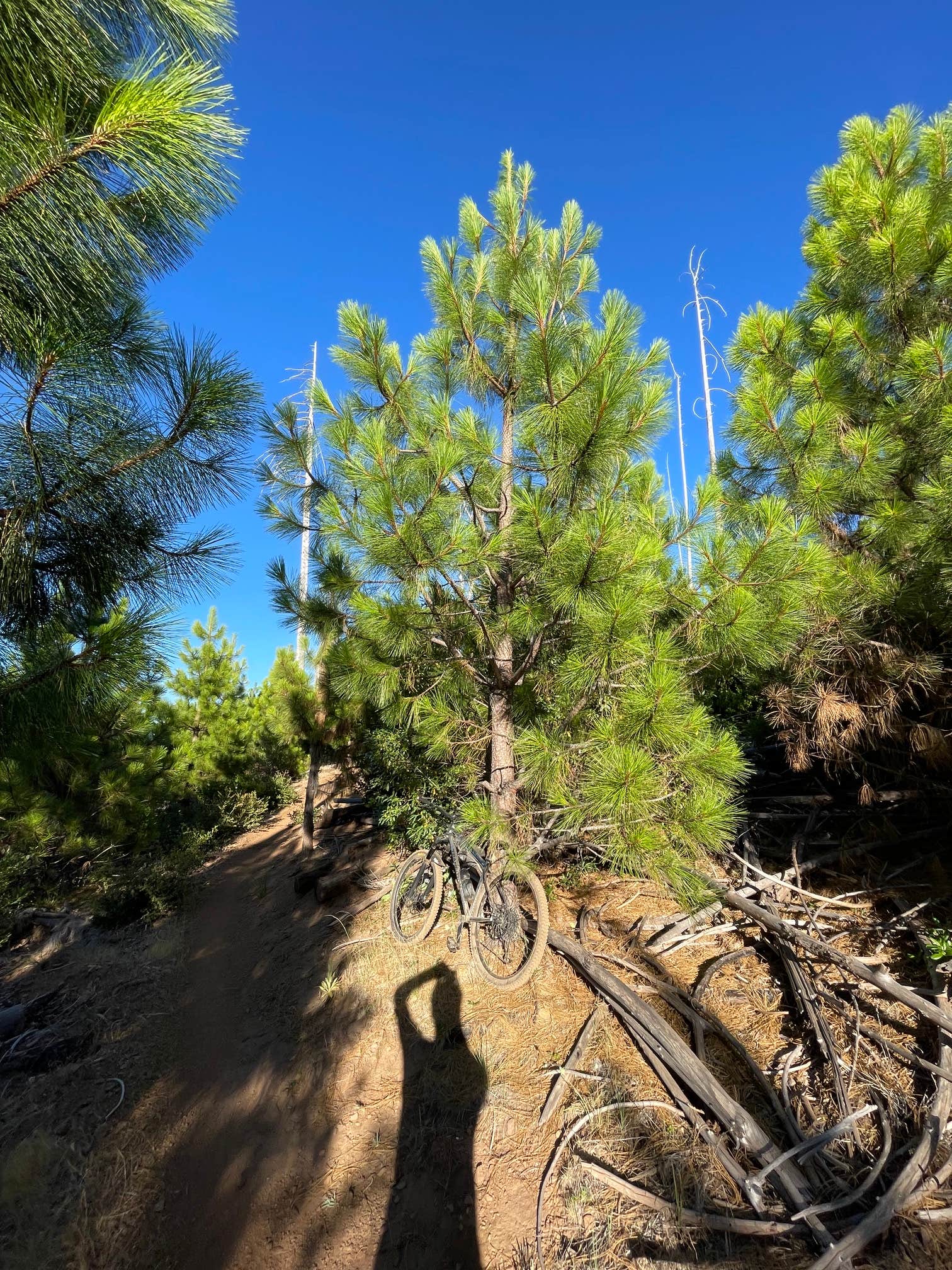 Camper-submitted photo at Calso - Boggs Mountain Demo Forest - TEMPORARILY CLOSED near Lake Sonoma