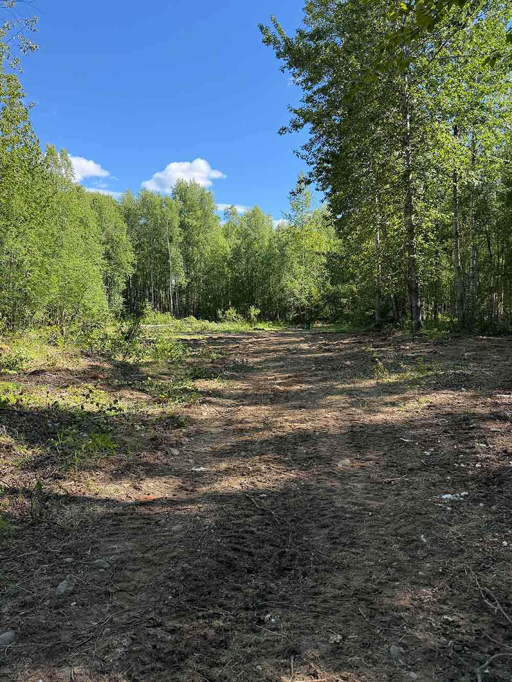 Camping near H&H Restaurant & Campground: Moose Hollow Haven, Talkeetna, Alaska
