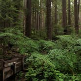 Review photo of Hoh Campground — Olympic National Park by Cierra A., September 30, 2016