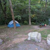 Review photo of Paddy Creek Recreation Area by Sean J., July 5, 2026