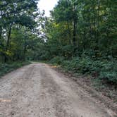 Review photo of Paddy Creek Recreation Area by Sean J., July 5, 2026