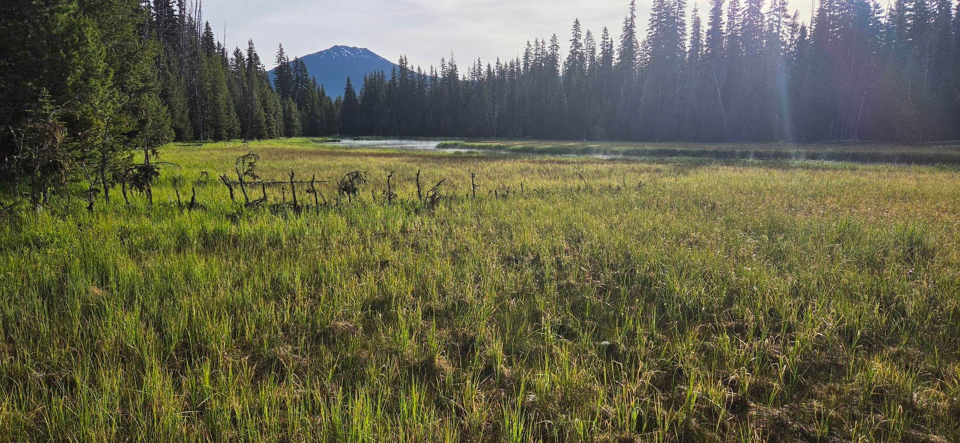 Camping near Point Campground - Deschutes: Lava Lake Resort, Sunriver, Oregon