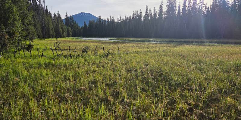 Camper submitted image from Lava Lake Resort