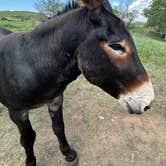 Review photo of Comanche Park by Penny S., July 5, 2026