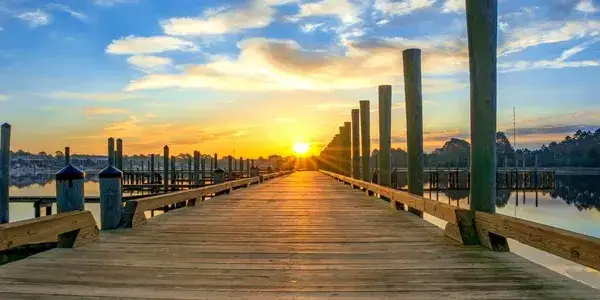 Camping near Cash Creek Campground — Tate's Hell State Forest: The Moorings of Carrabelle, Carrabelle, Florida
