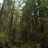 Review photo of Hoh Campground — Olympic National Park by Cierra A., September 30, 2016