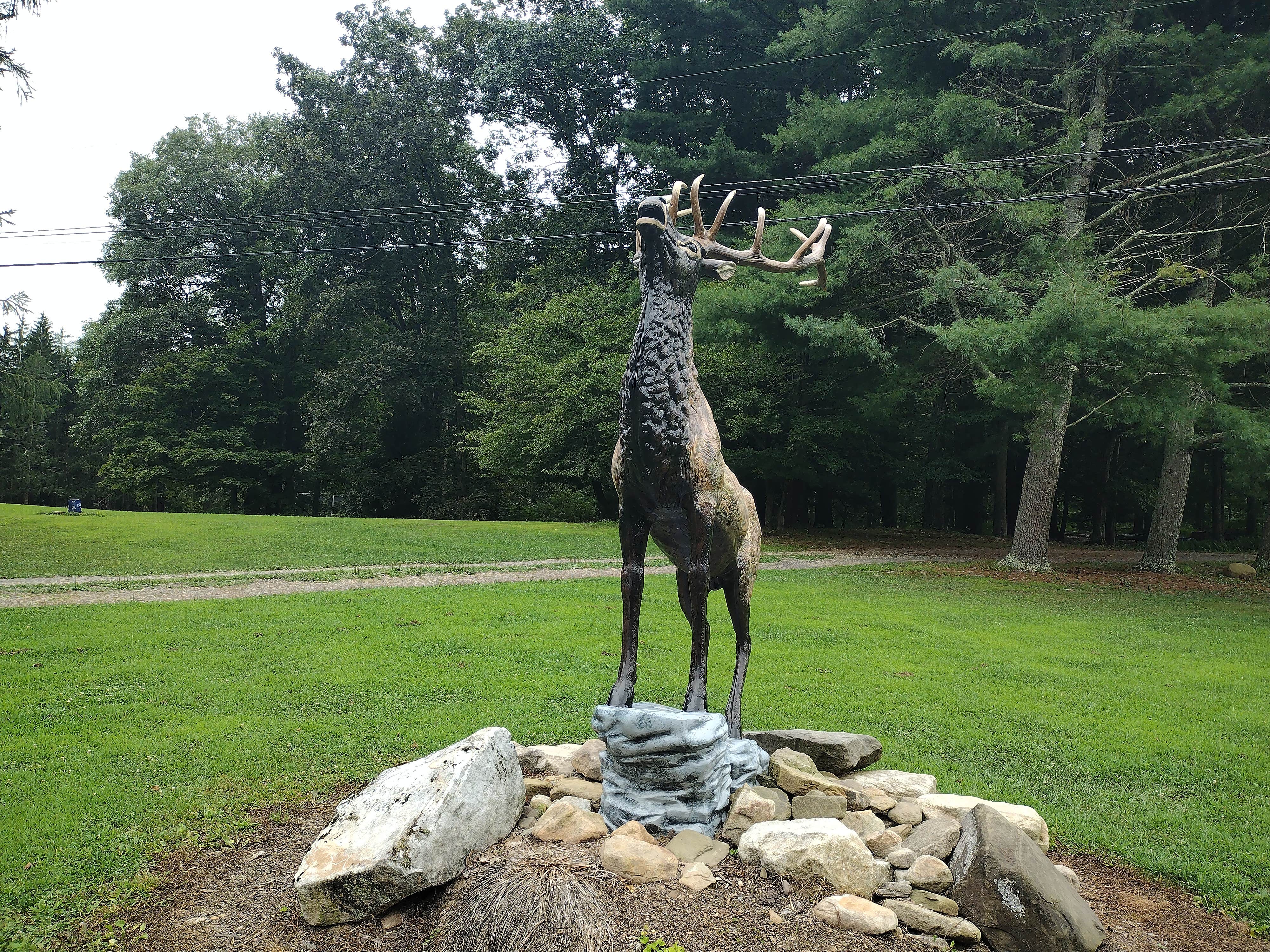 Camping near Worlds End State Park Campground: Elk Creek Escape LLC, Hillsgrove, Pennsylvania