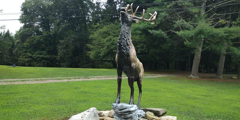 Camper submitted image from Elk Creek Escape LLC