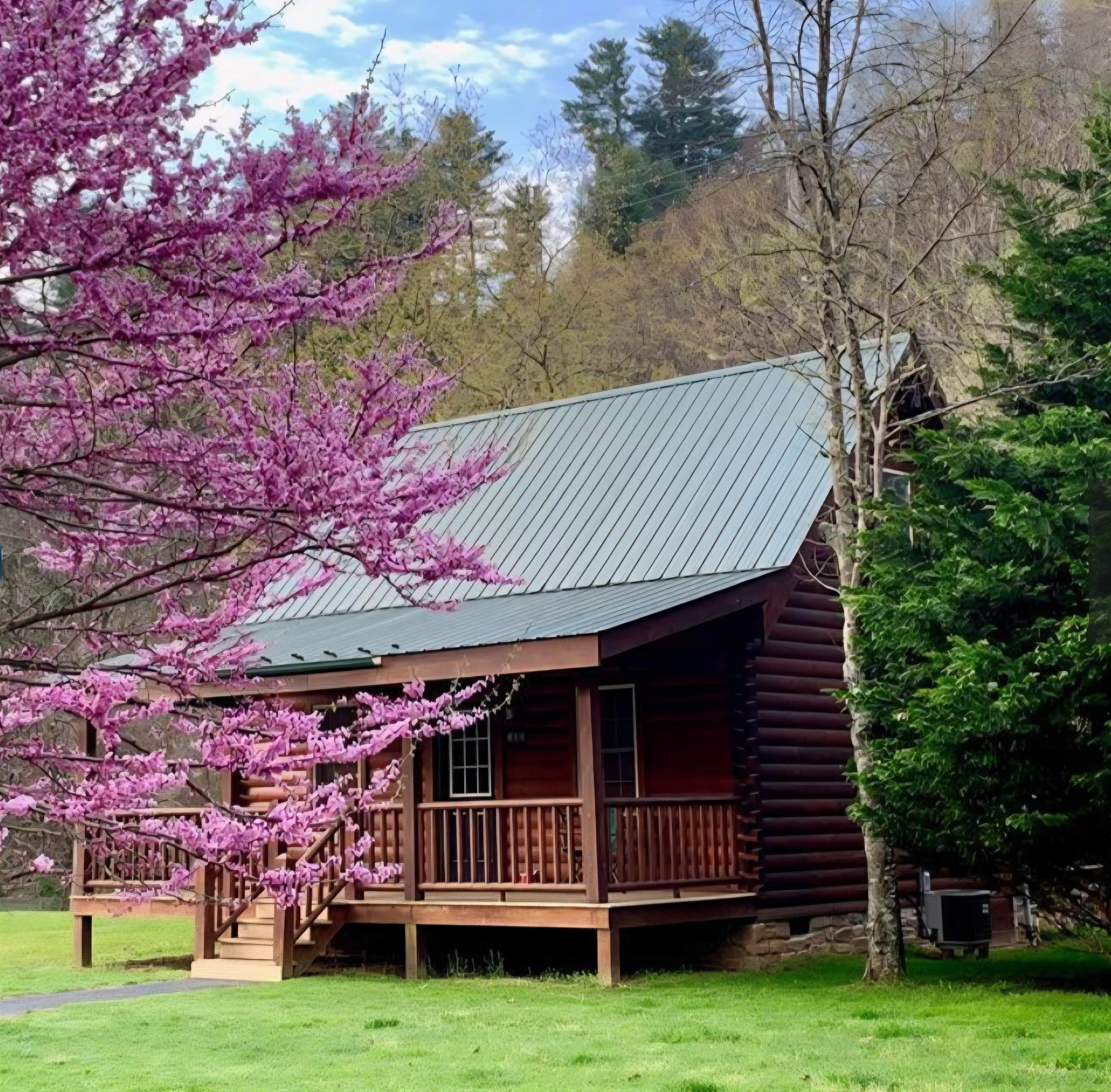 Jennifer H.'s photo of a cabin at New River Trail Cabins near Pfafftown, NC