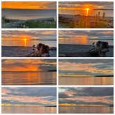 Review photo of Birch Bay State Park Campground by Lee D., July 8, 2026