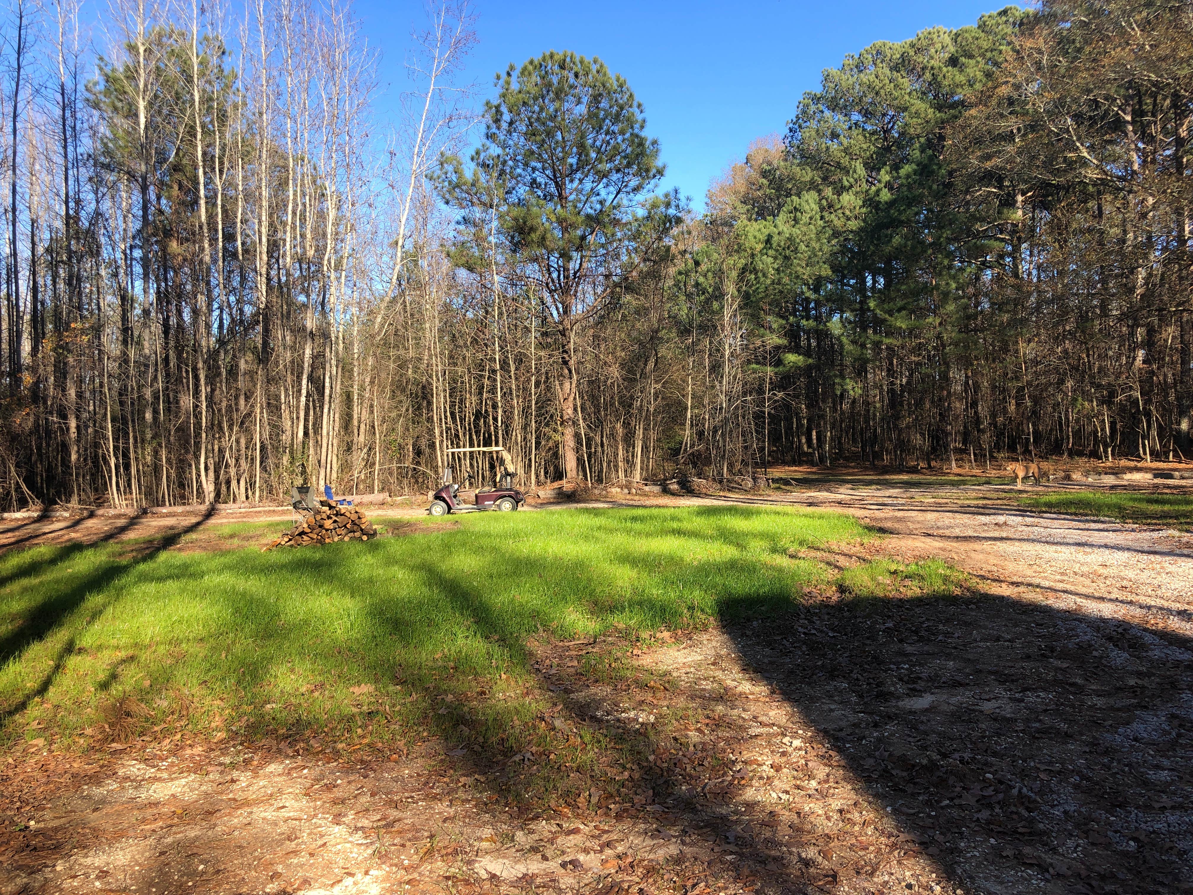Camping near A. H. Stephens State Park Campground: Lizardsniffer RV Park, White Plains, Georgia