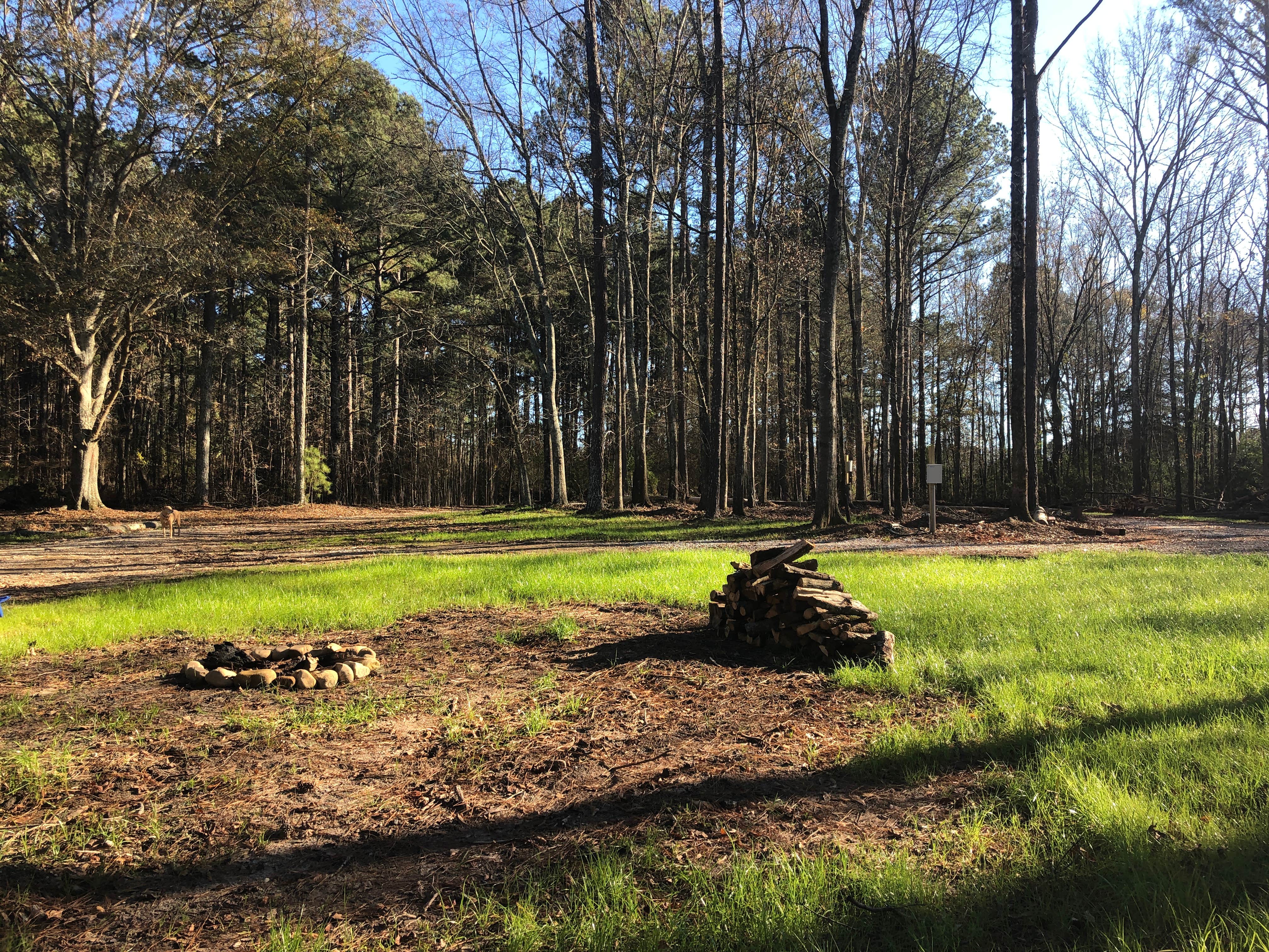 Camper-submitted photo at Lizardsniffer RV Park near Crawfordville, GA