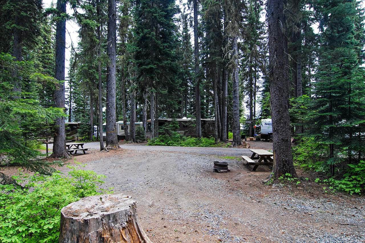 Camper-submitted photo at Shelter Cove Resort & Marina near Westfir, OR