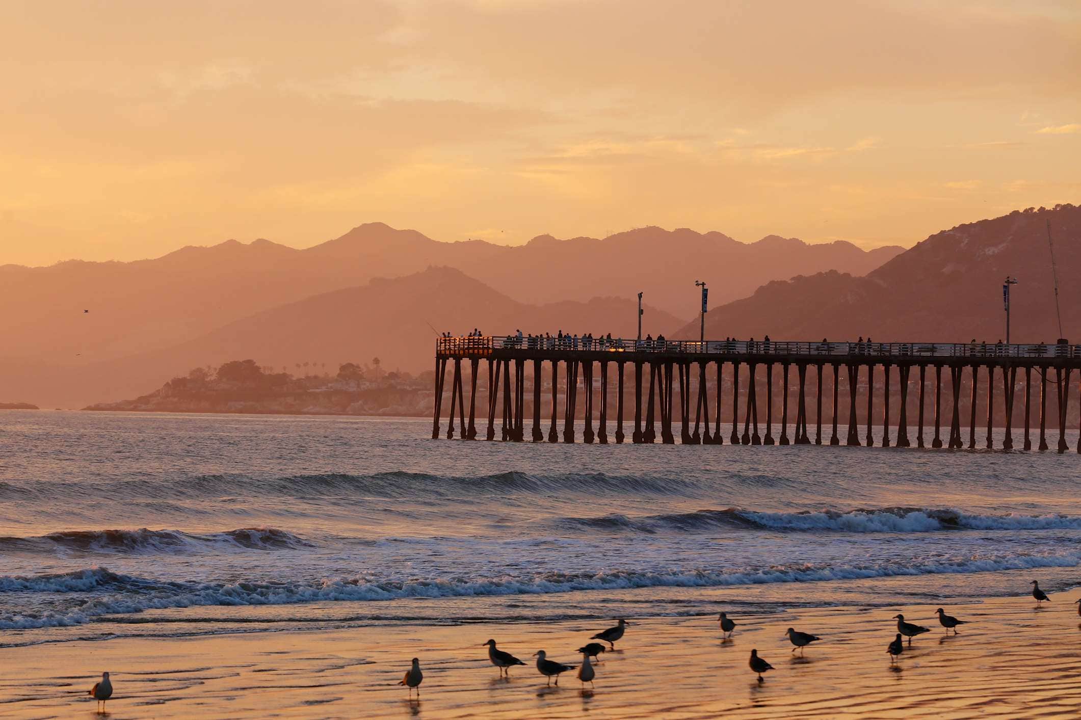 Camper-submitted photo at Avila Pismo RV Resort and Campground near Avilla Beach, CA