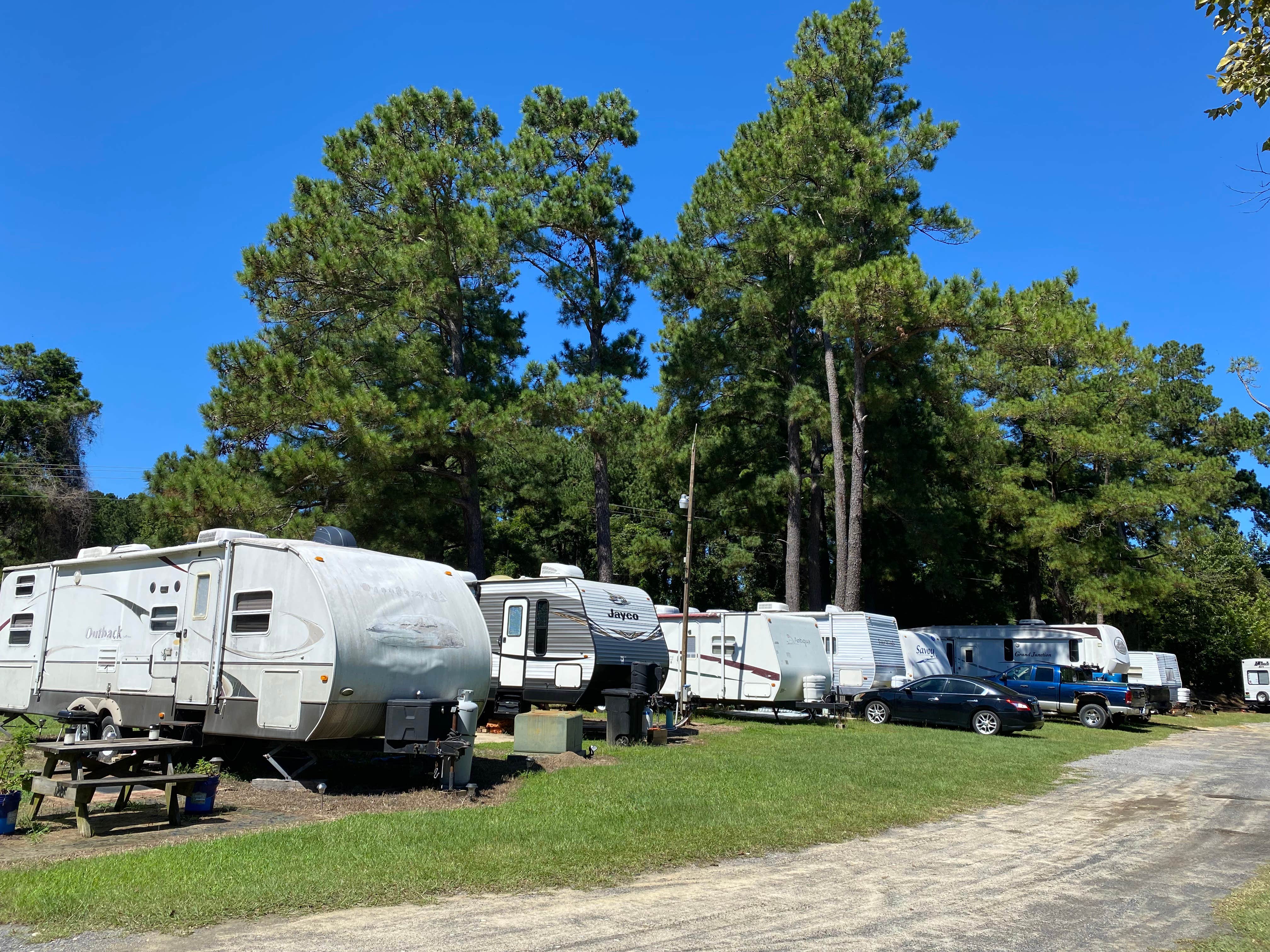 Harry's Fish Camp