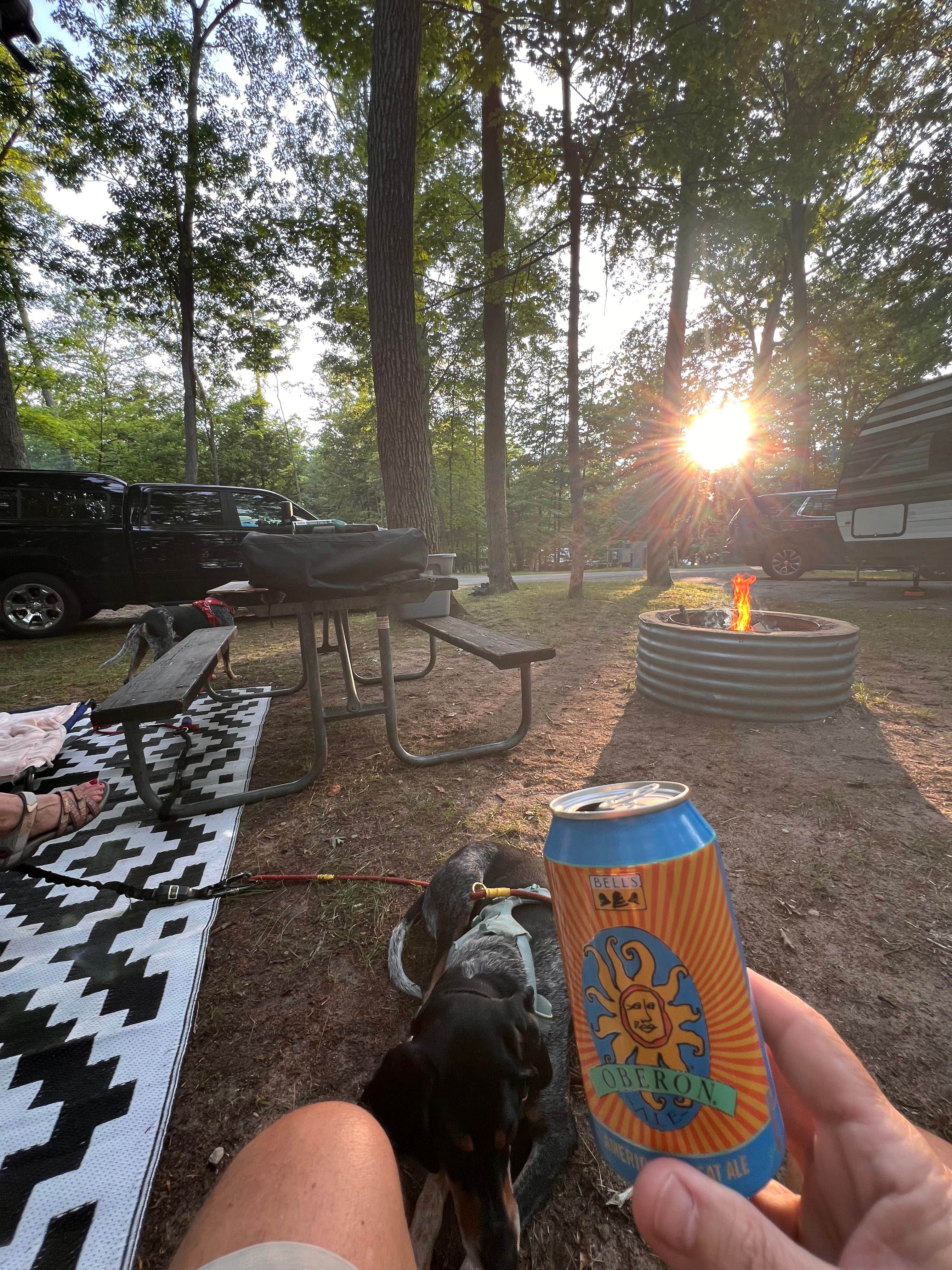 Camper-submitted photo at Interlochen State Park near Grawn, MI
