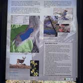Review photo of Convict Lake Campground by Lee D., July 10, 2026