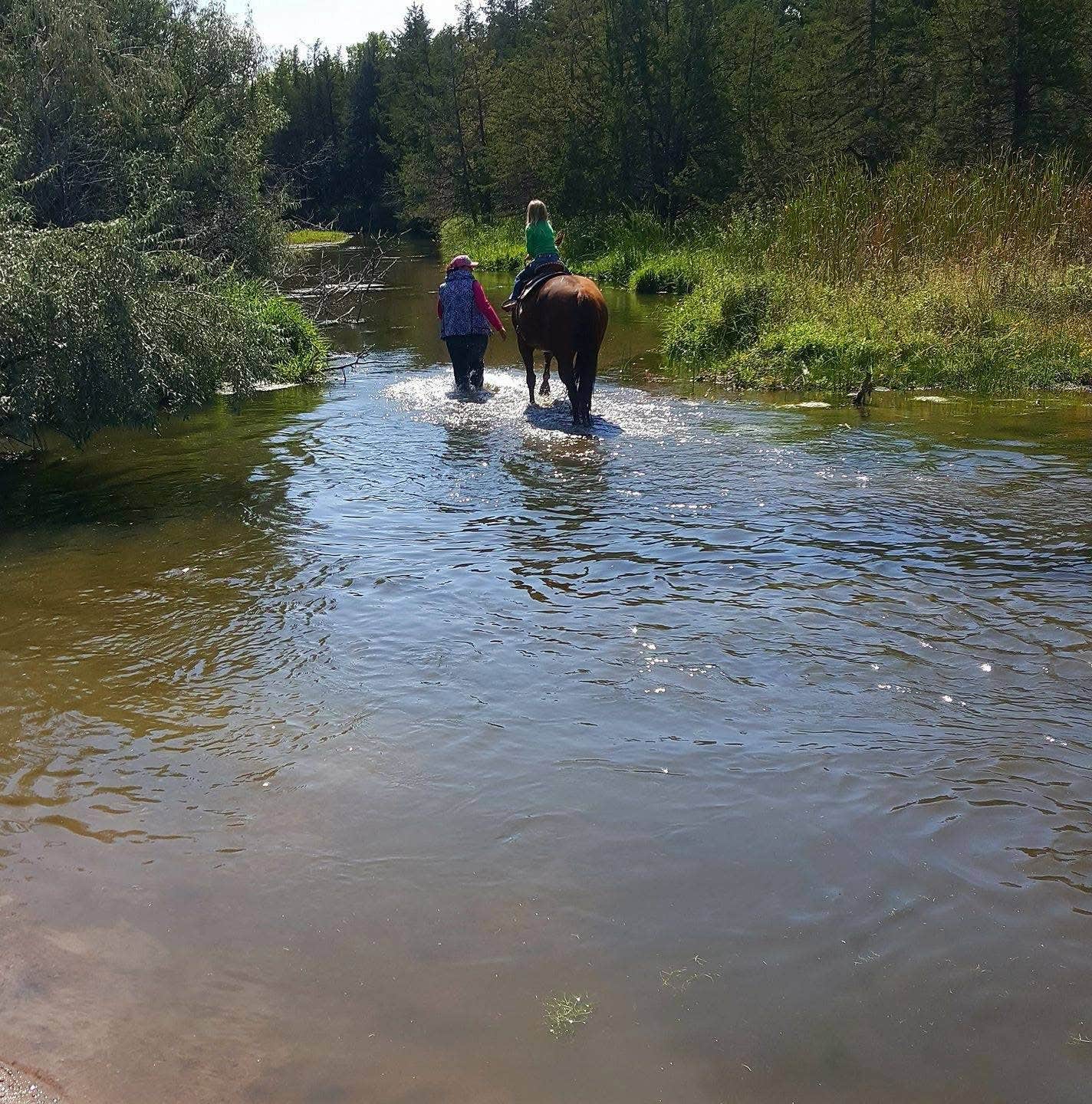 Camper-submitted photo at NC River Ranch near Gothenburg, NE