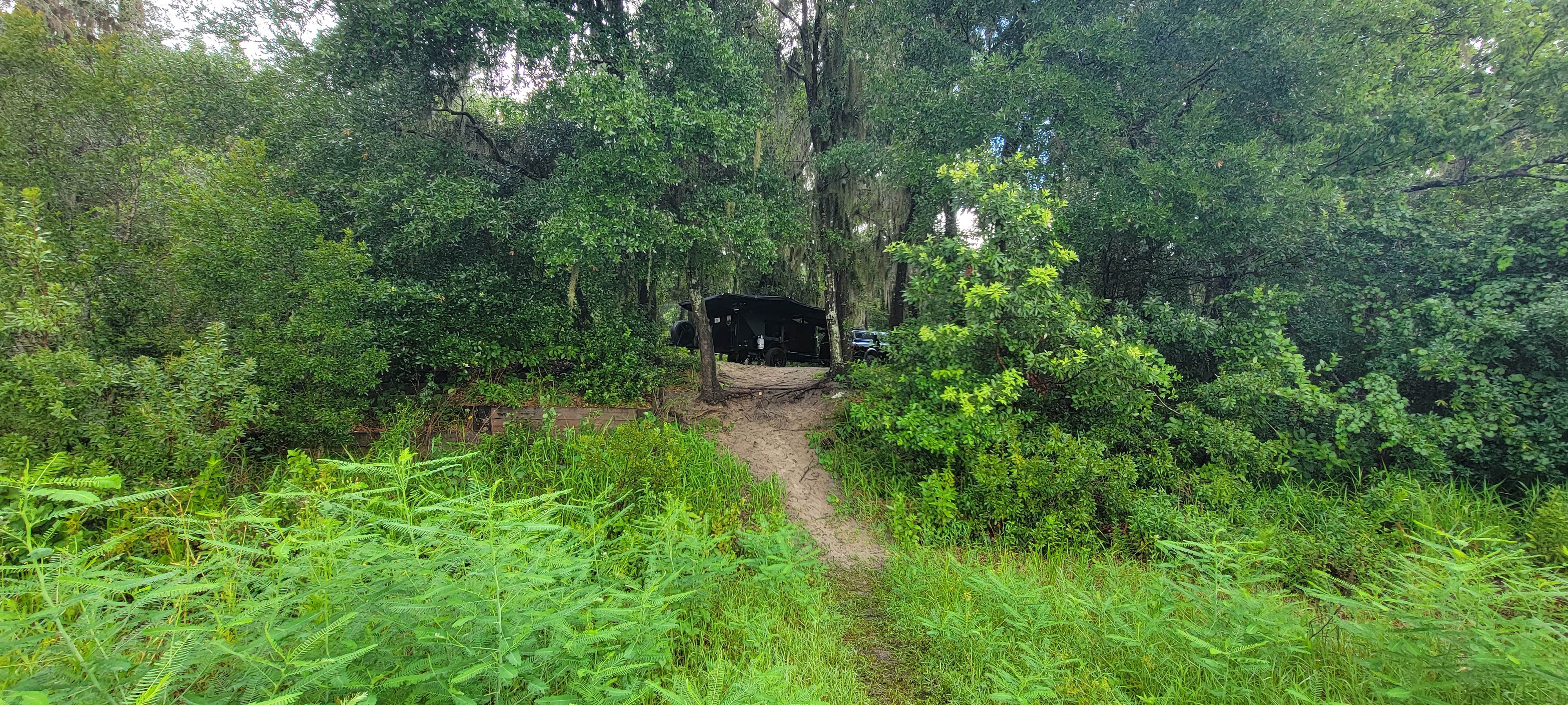 Camper-submitted photo at Lake Dorr near Welaka, FL
