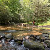 Review photo of Low Gap Campground — Chattahoochee Oconee National Forest by James N., July 10, 2026