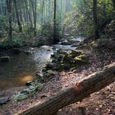 Review photo of Low Gap Campground — Chattahoochee Oconee National Forest by James N., July 10, 2026