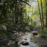 Review photo of Low Gap Campground — Chattahoochee Oconee National Forest by James N., July 10, 2026
