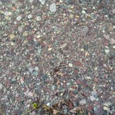 Review photo of Browns Lake by Terra K., July 10, 2026