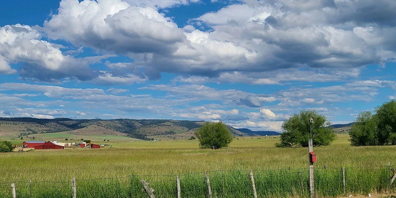 Camper submitted image from The Hitching Post Long Creek