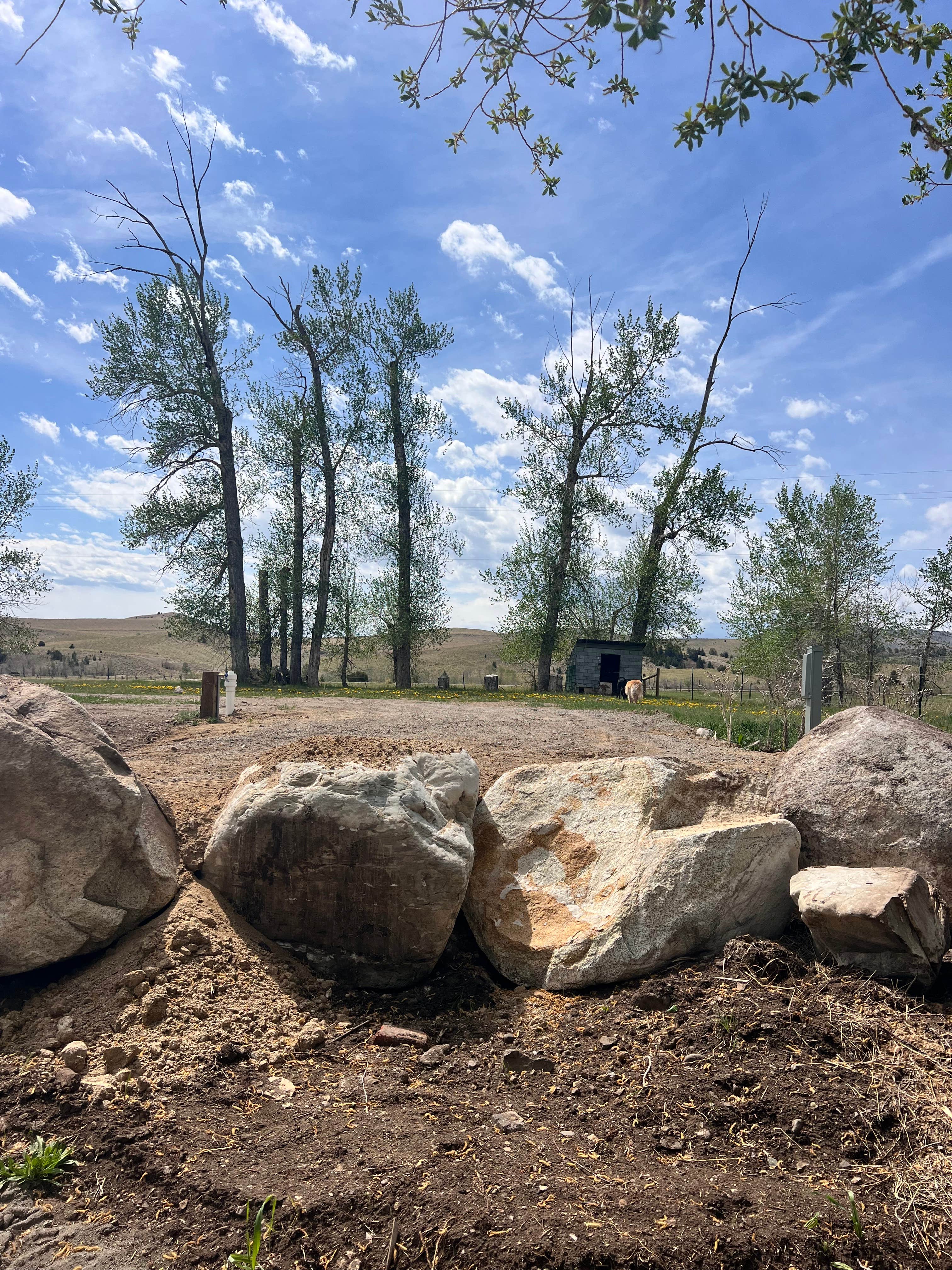 Camping near Lost Creek State Park Campground: Lost Pines, Anaconda-Deer Lodge County, Montana