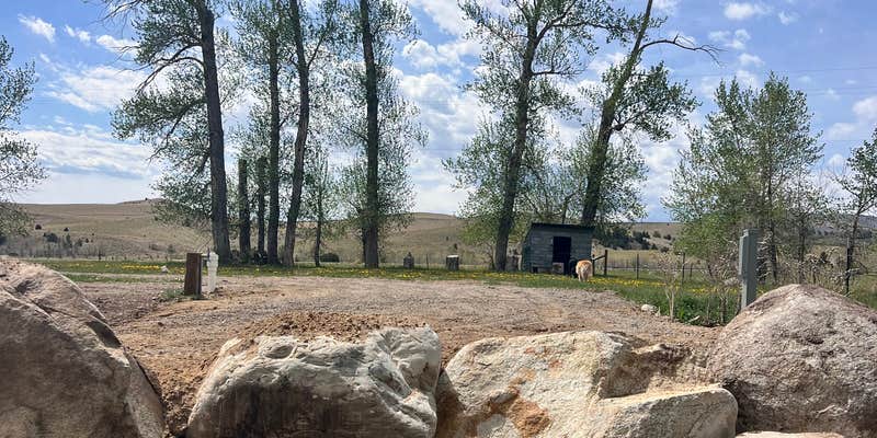 Camper submitted image from Lost Pines