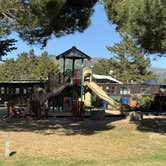 Review photo of Costanoa Coastal Lodge & Campground by Lee D., July 13, 2026